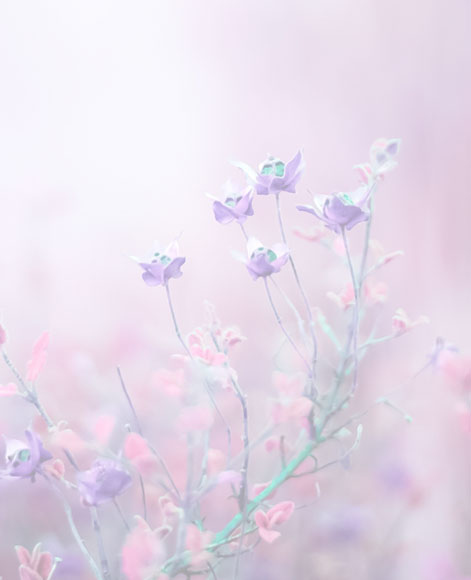 Картинка "Признаки и симптомы катаракты"